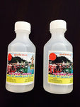 2 Ganga Jal /  Holy Ganges Water from Haridwar India -  100ml ea for Puja - HolyHinduStore