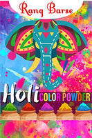 SOFT ON SKIN - Holi Color Powder RANG BARSE -Color Wars,Rangoli Powder,Gulal -PREMIUM QUALITY,NON-TOXIC & EASY CLEAN -5 Pack 100 G(3.5 oz) each Red,Green,Yellow,Blue,Orange - HolyHinduStore